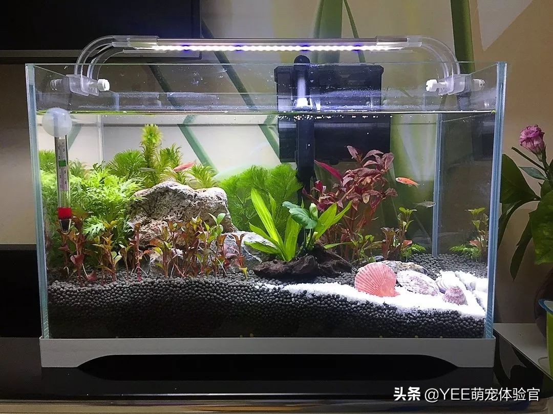 鱼水质酸碱度怎么调,水产怎样快速测试水质