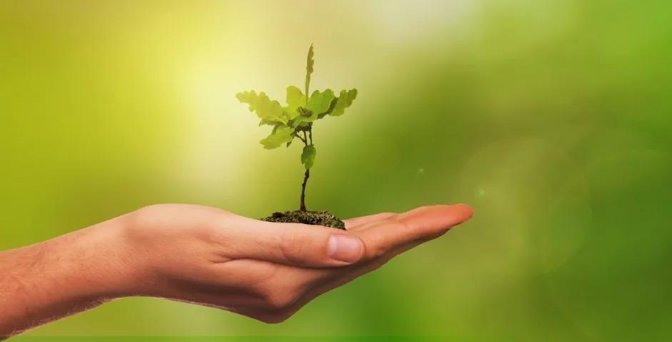 新cp出现合体,新cp的诞生