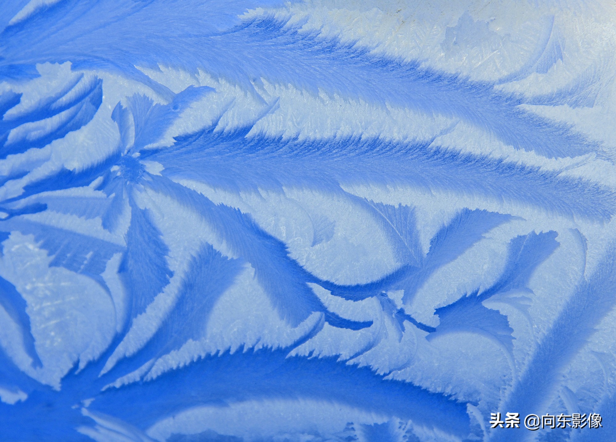 尼康z7一代高感,尼康z7ii4k60p是超采样吗