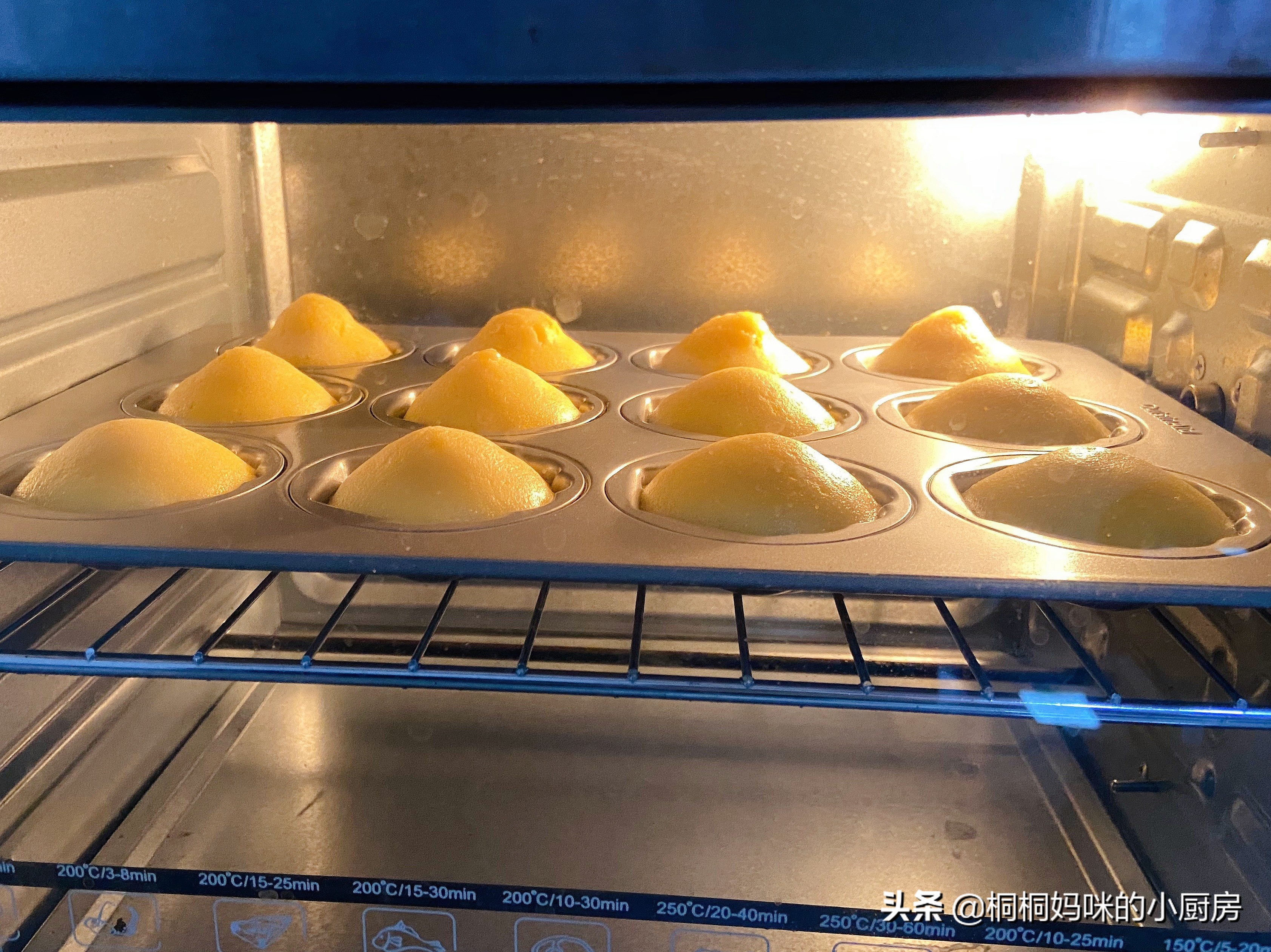 各种口味玛德琳,正宗玛德琳