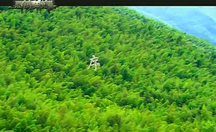 黑糖群侠传1-40集大结局解说,电视剧黑糖群侠传共多少集