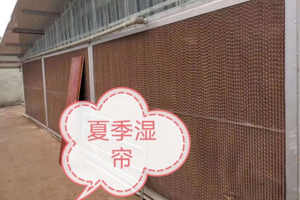 生猪养殖保障措施,猪养殖下阶段工作重点