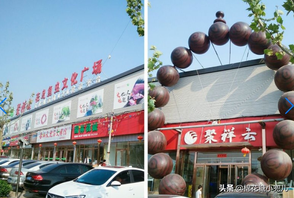 北京盆栽花卉批发市场,北京众兴花卉批发市场