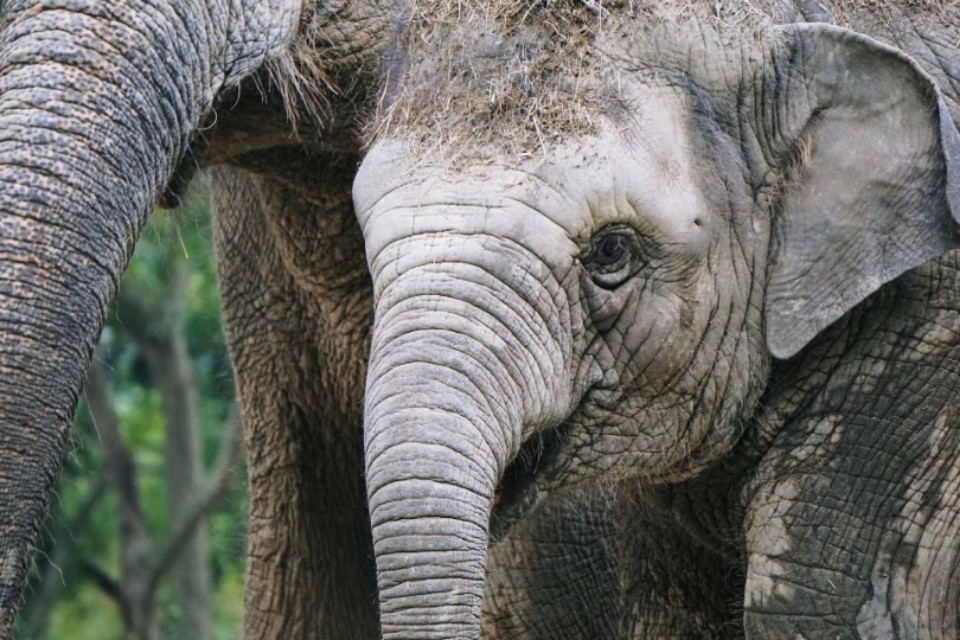 索尼微单a5100怎么导出视频 (索尼微单a5100可以拍视频吗)