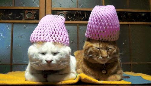 lisa唐嫣程潇,唐嫣lisa林允