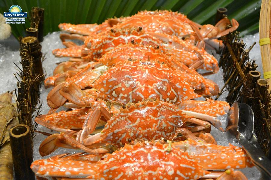 惠州大亚湾龙光城戴斯酒店早茶,惠州市惠阳区龙光城戴斯酒店