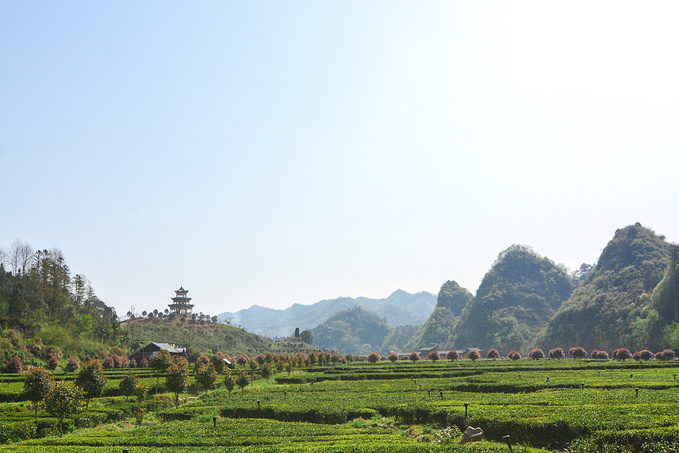 疫情对湖南这里居然丝毫没有影响！0病发，还超级适合徒步旅行！