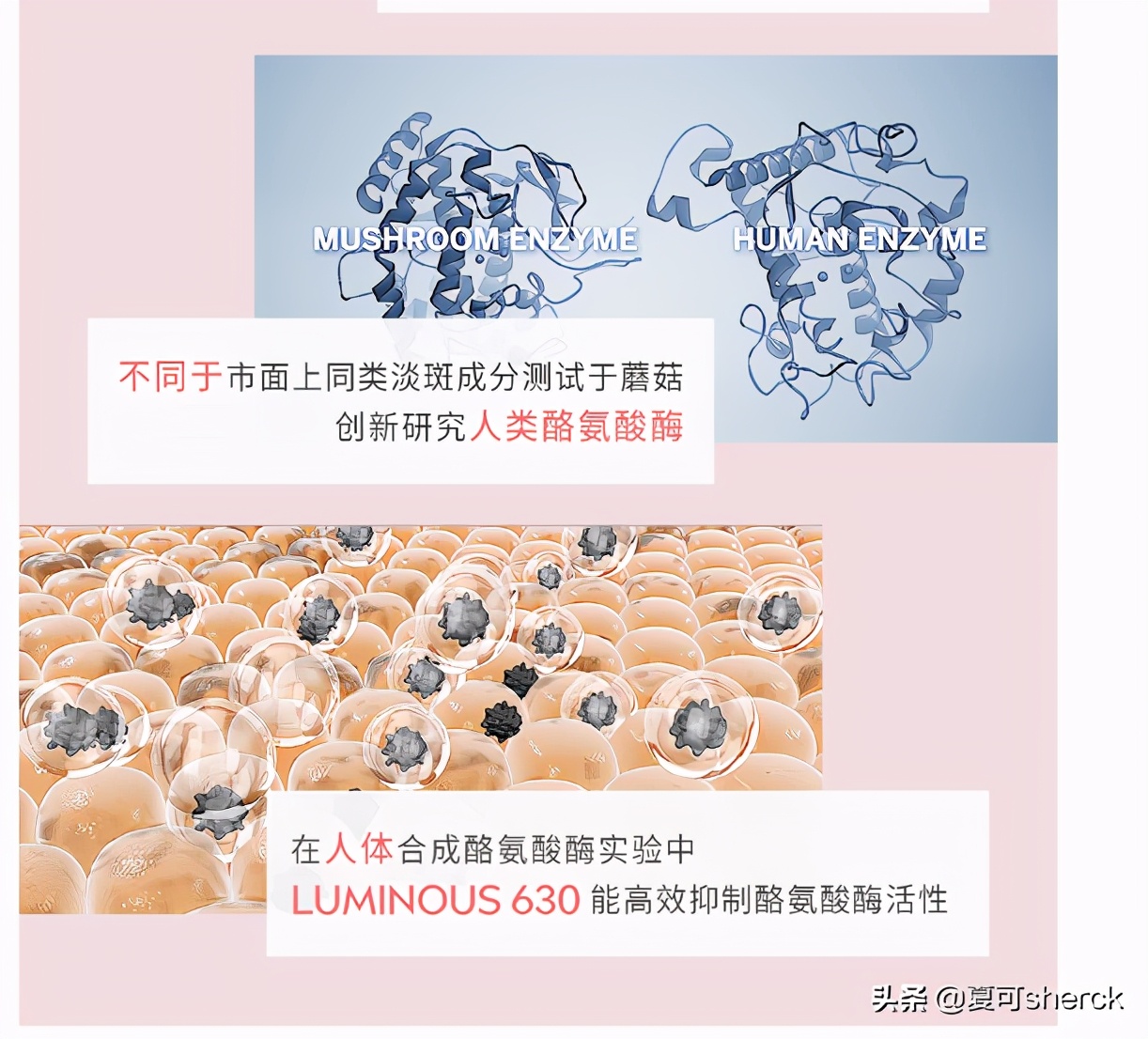 夏可叔叔扒产品兰蔻,美白精华拜尔道夫