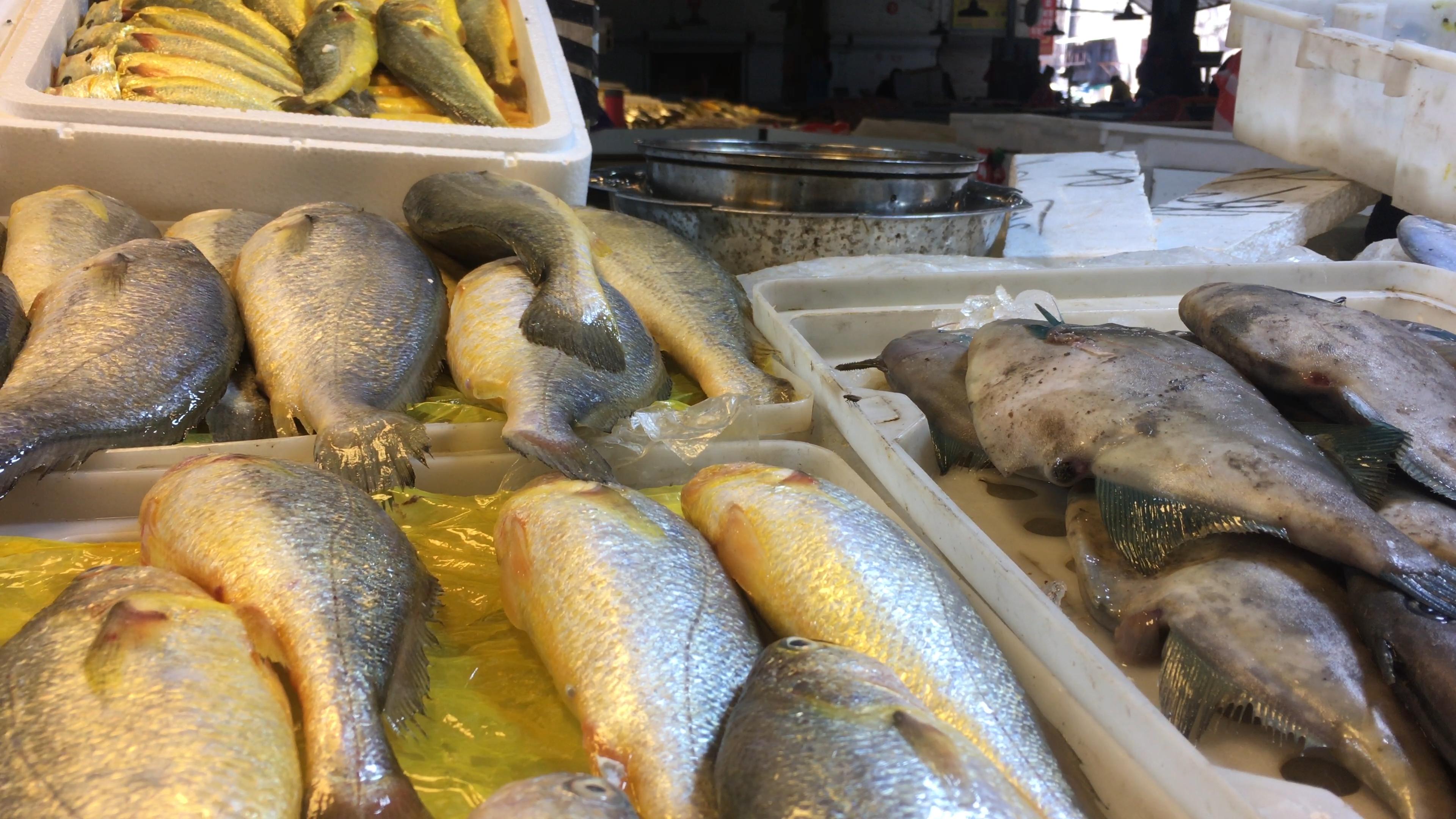 舟山品味海鲜,舟山人评象山海鲜