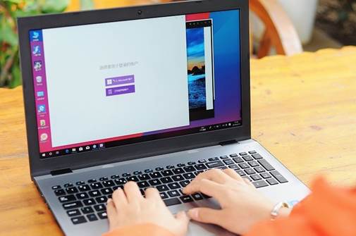 麦本本小麦5图片,麦本本小麦5功能