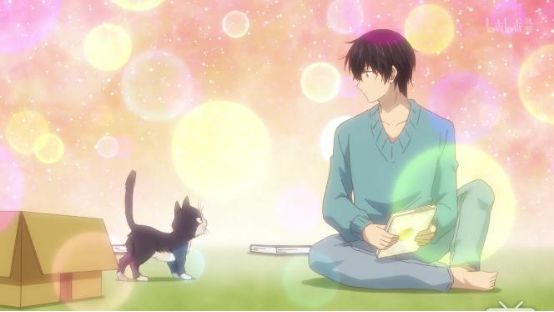 最萌新番,豆瓣8.8最佳纪录片女主