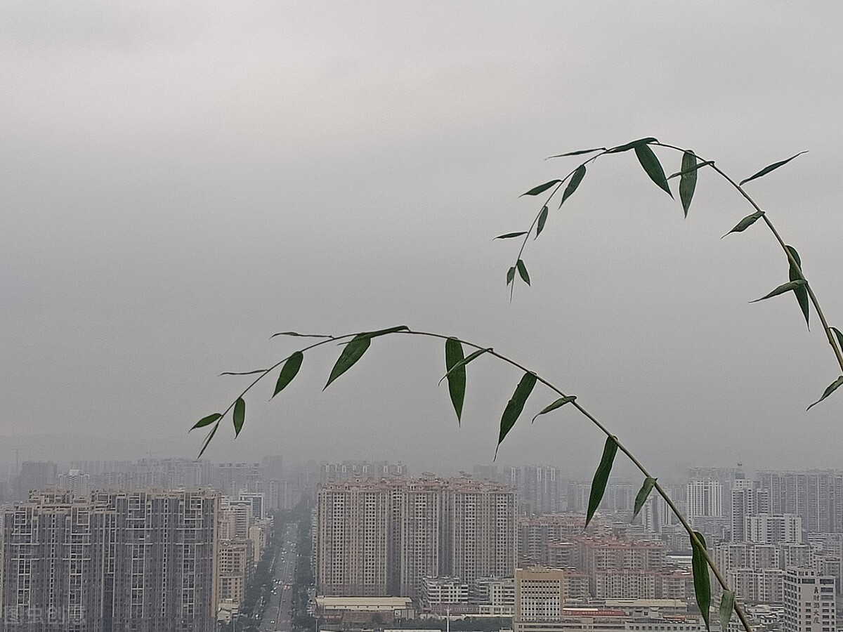 债务外包平台,中国最大的债务催收公司