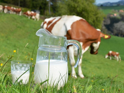 名门泽佳真的能改善皮肤吗,名门泽佳美白真假辨别