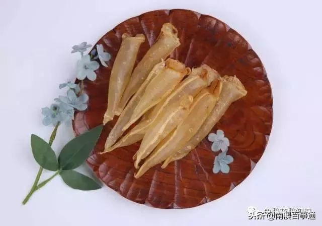 涨知识!鱼胶种类大全,不看亏大了!