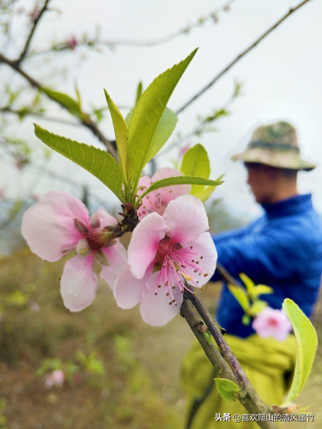 广安方坪乡，寻找传说中的朝阳洞