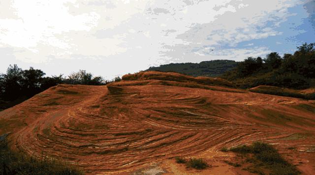 麻阳长寿冰糖橙之乡,麻阳冰糖橙中果和大果哪种好吃