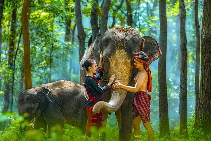 西双版纳最值得一去的景点大排名,西双版纳适合6-12岁儿童的景点