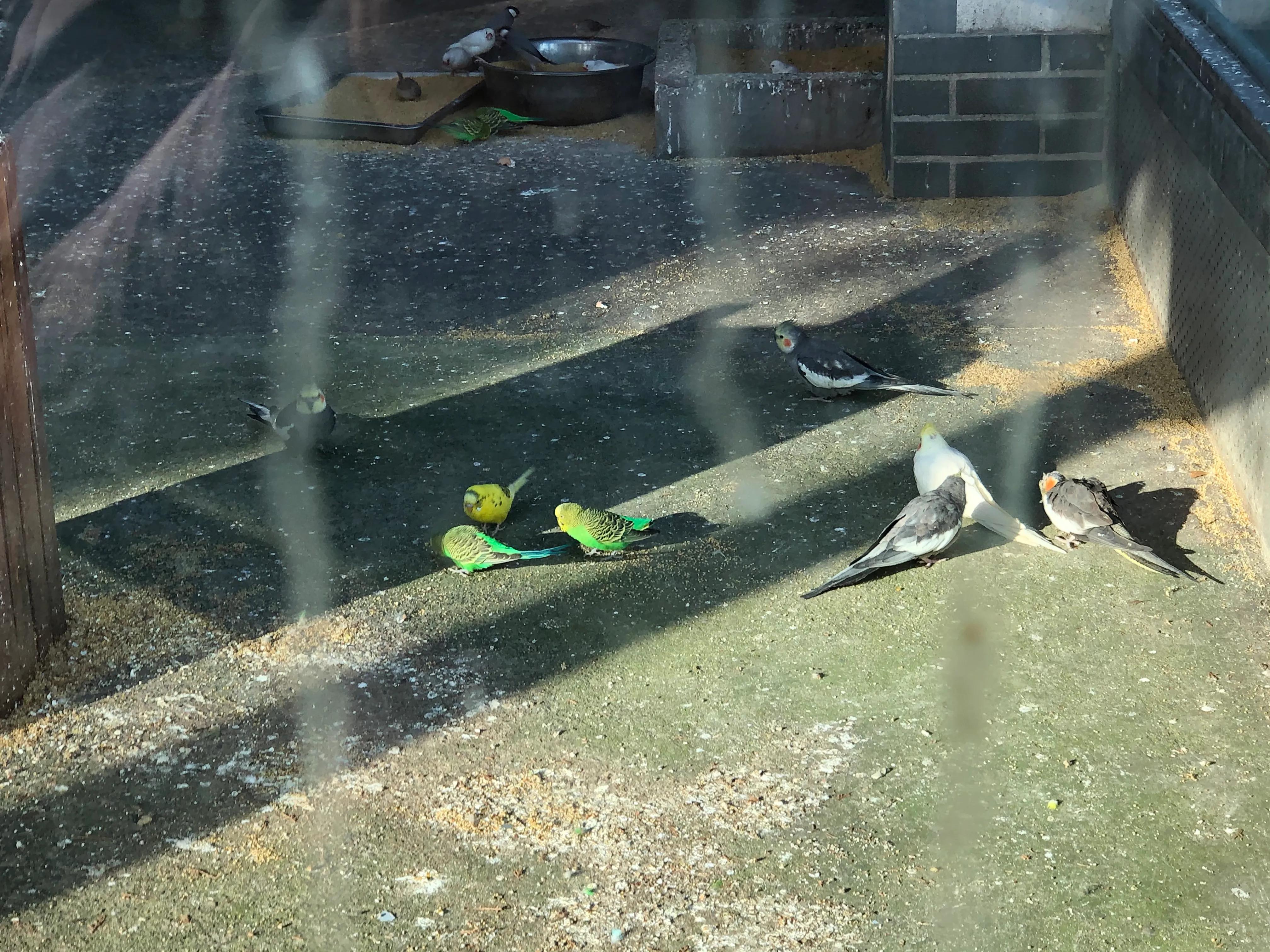 平顶山河滨公园旅游攻略,平顶山森林公园游记