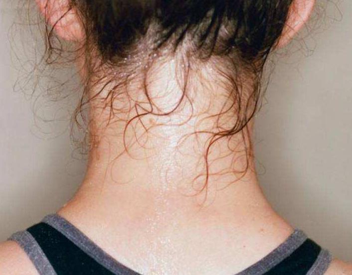 国产东方戴森价格,国产戴森测评