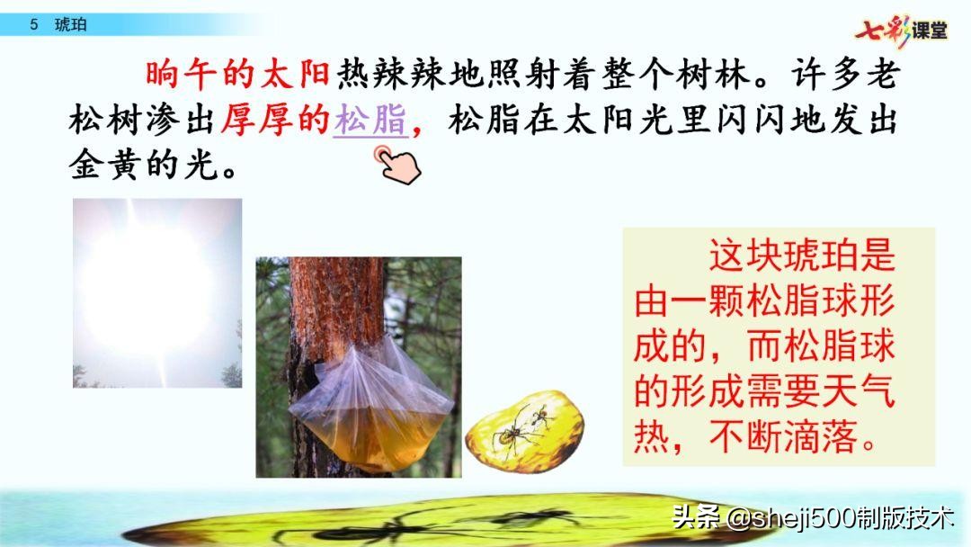 语文书四年级下册第5课琥珀预习,四年级下册第5课琥珀的思维导图