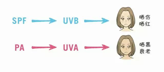 安耐晒防晒霜测评真实推荐,防晒霜推荐测评第一名安耐晒