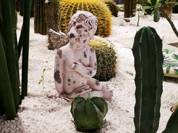 南宁比较有颜值的店,南宁特别好喝现磨咖啡店