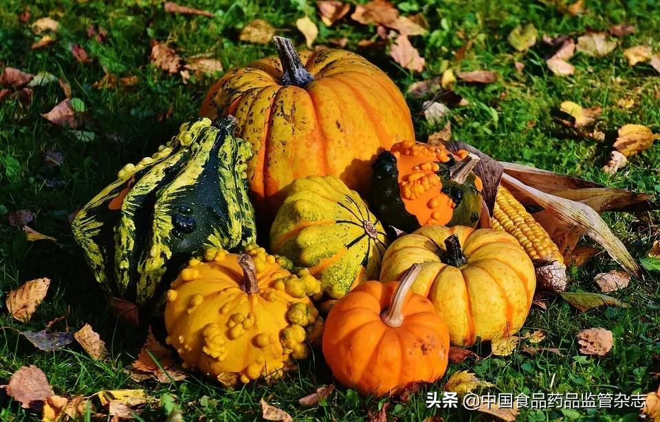 苦瓜牛蒡茶能降血糖吗,苦瓜葛根牛蒡根茶能降血糖吗