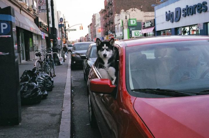 15倍价钱从苏富比拍来的Prada，要供奉在哪儿才好膜拜？