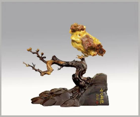 都是些什么“鸟石”？保证有你好看