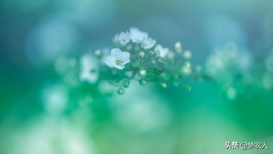 我们终此一生就要摆脱他人的期待,我们终其一生就是要摆脱别人期待