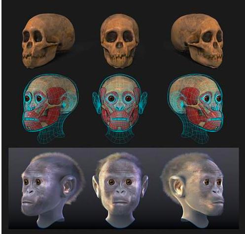 地球会出现更厉害的物种吗,地球上前几次人类是怎样灭绝的