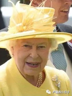 英国女王胸针高档轻奢,女王最贵胸针排行榜