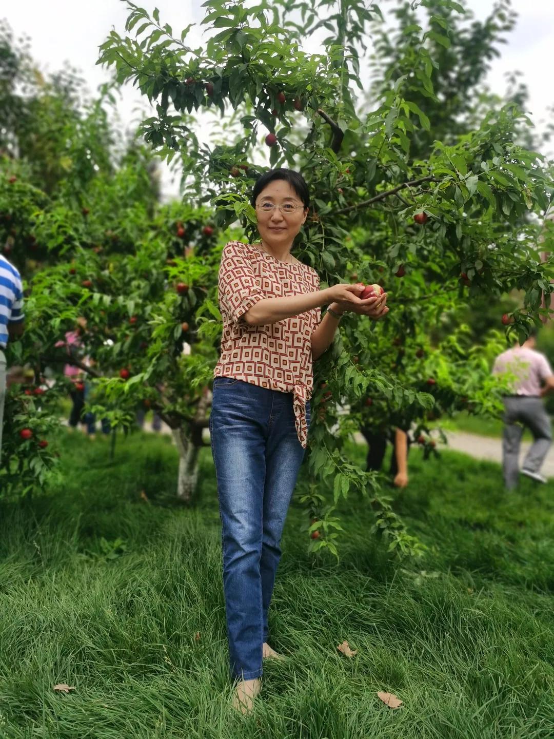 高三冲刺名师直播课堂,华商高考直播