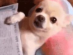 亲测有效的防脱发小技巧,脱发严重这个防脱发妙招很好用