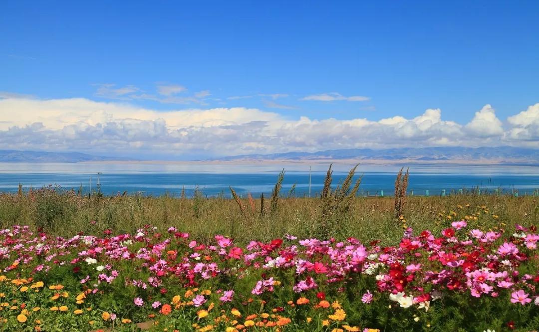 来感受大西北的异域风情,领略一下西北风情