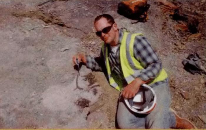 蛇洞里发现了一条世界上最大的蛇,亚马逊最大的蛇是什么蛇