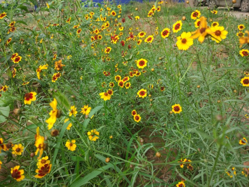 数学七巧板由来简单阐述,数学有关七巧板的介绍