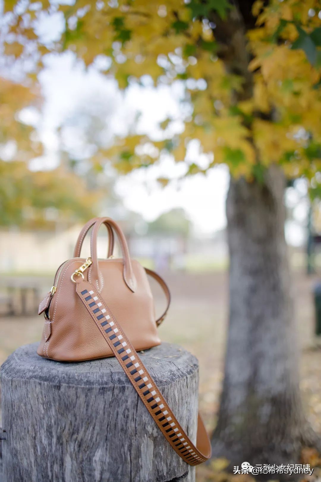 人间必买的20个包,人间值得这本书值得买吗