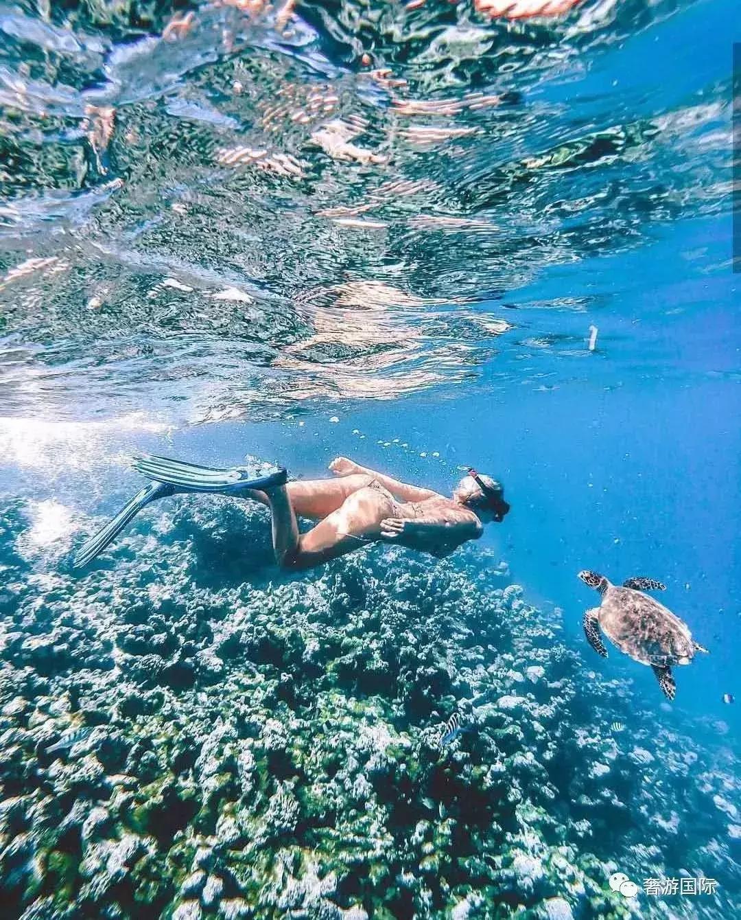 还没开业就是马代最火新岛？奢游考察带你走进北丽世