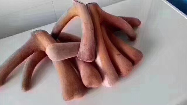 新东北三宝是哪三宝,我国著名的东北三宝是什么