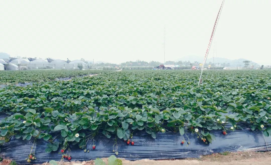 宝安福地,宝安福地在哪里