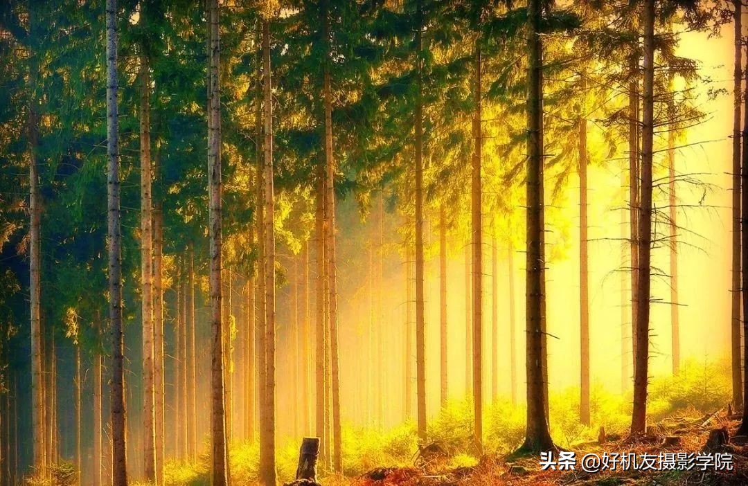 照片灰蒙蒙的怎么拍,照片灰蒙蒙的怎么变清新