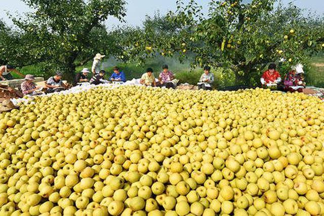 为什么卖助农产品,助农商品可靠吗