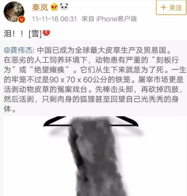 秦岚真的是白到发光,秦岚工作室近况