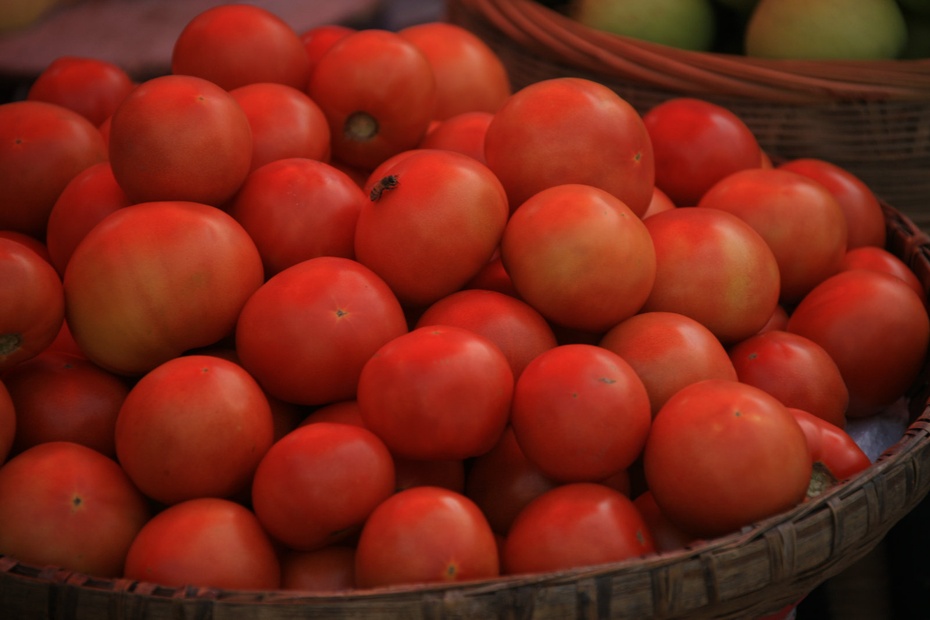 米亚罗-大美理礼县