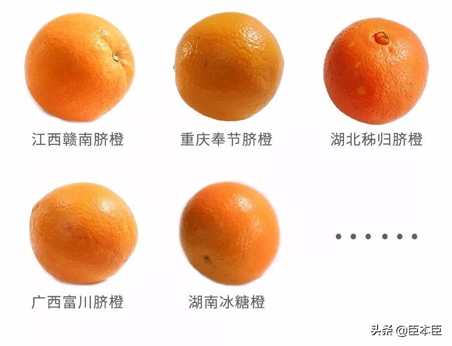 酸甜口的橙子适合怎么吃,鲜橙子怎么挑汁多的