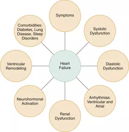心衰强心利尿扩血管的药物,心衰使用血管扩张剂原理