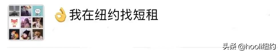 纽约最全群信息总揽｜指南在手，世界我有