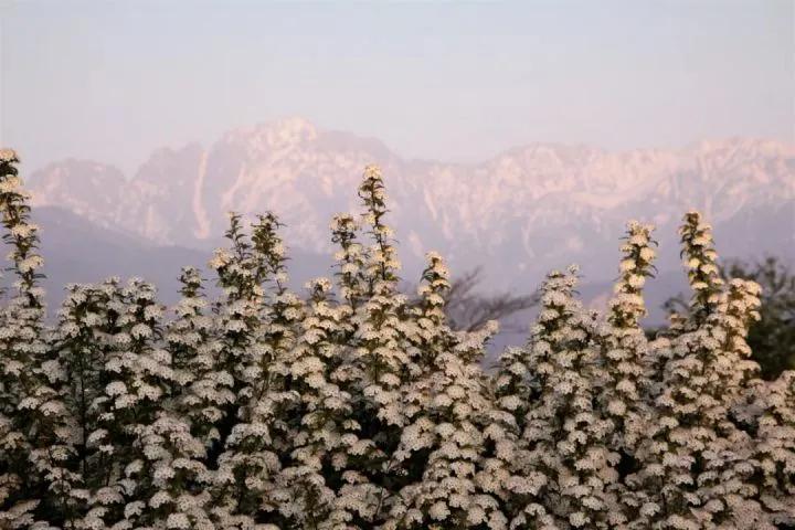 新文旅融合时代,景区怎么讲出好故事?