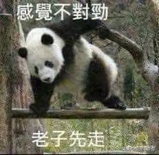 雷品吐槽别再浪费钱了,雷品盘点